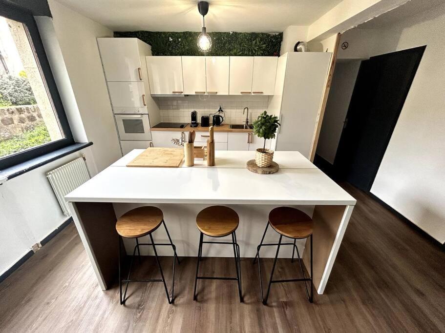 Le Puy En Velay - Appartement Grand Confort Экстерьер фото