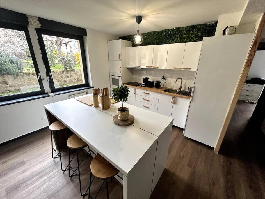 Le Puy En Velay - Appartement Grand Confort Экстерьер фото